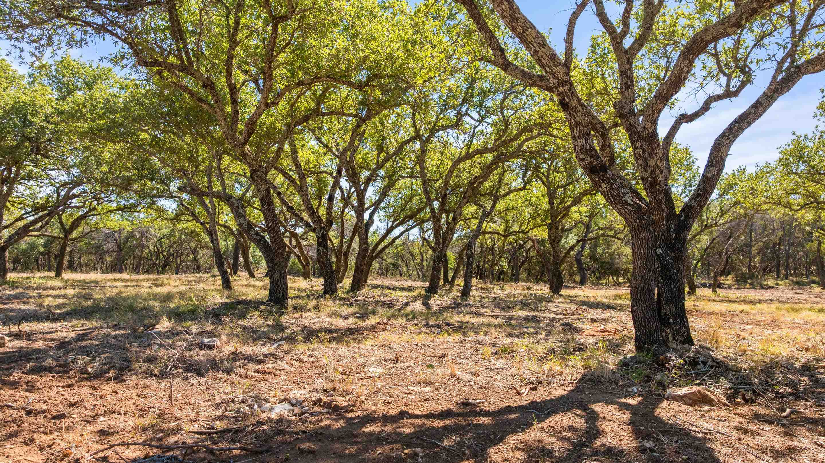 2560 Towhead Valley Road Johnson City TX 78636
