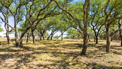 2560 Towhead Valley Road Johnson City TX 78636