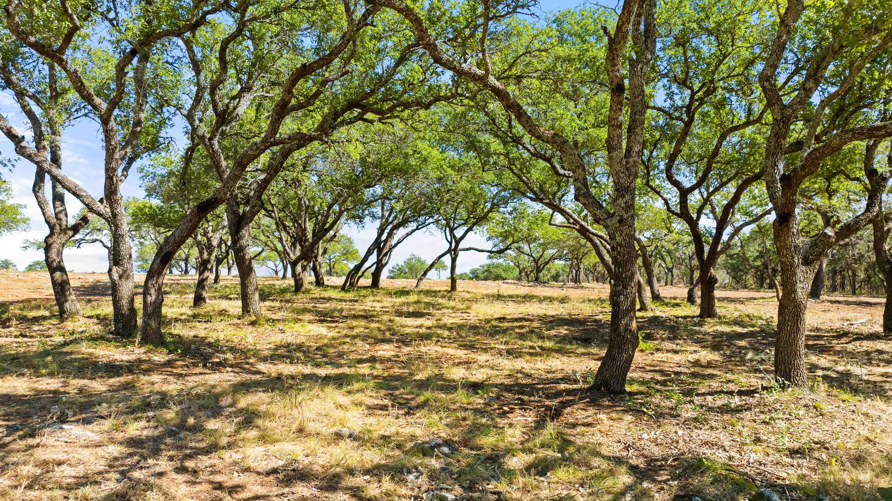 2560 Towhead Valley Road Johnson City TX 78636
