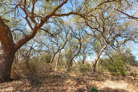 Tbd Carpenter Court Burnet TX 78611