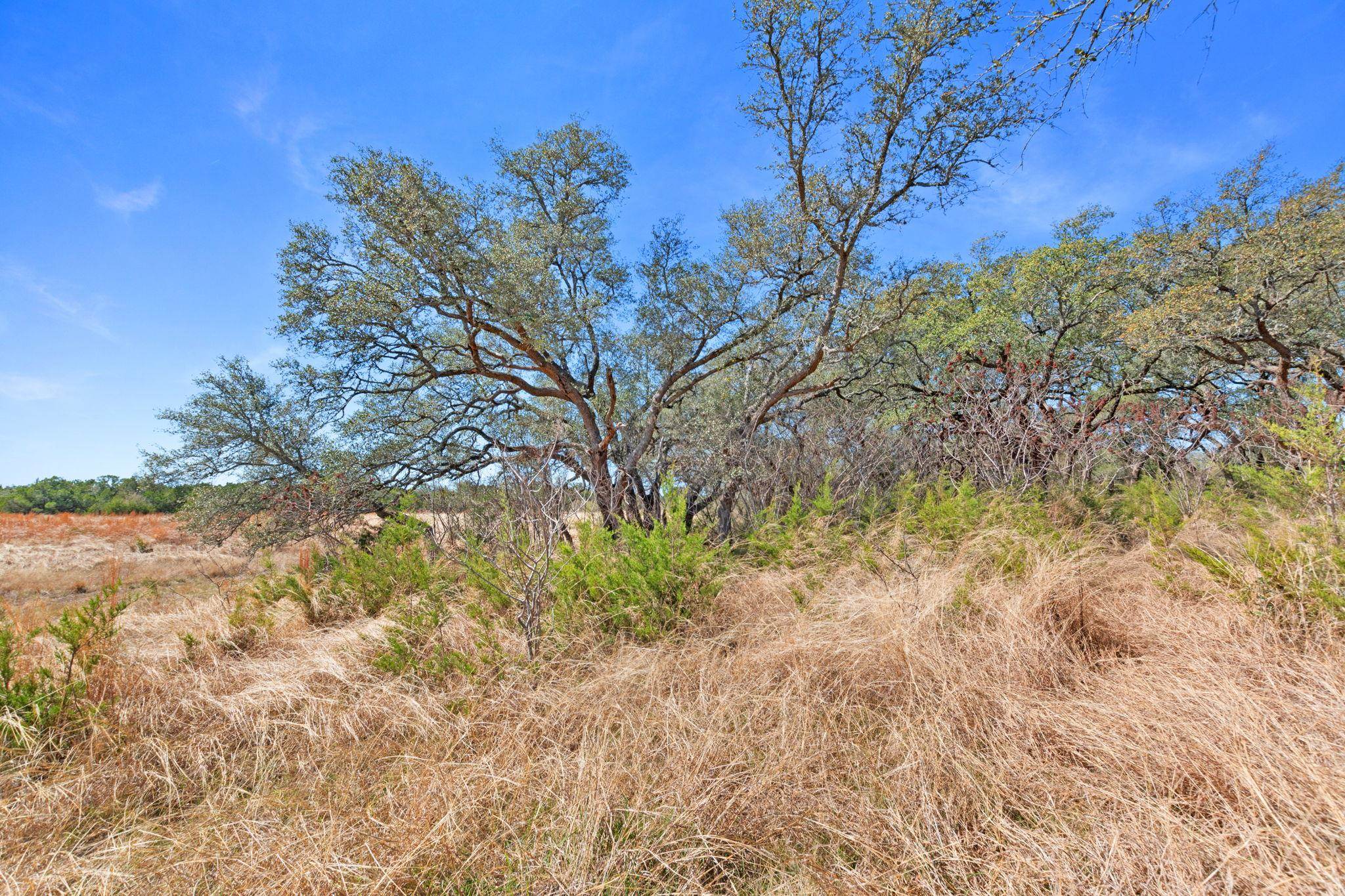 Tbd Carpenter Court Burnet TX 78611