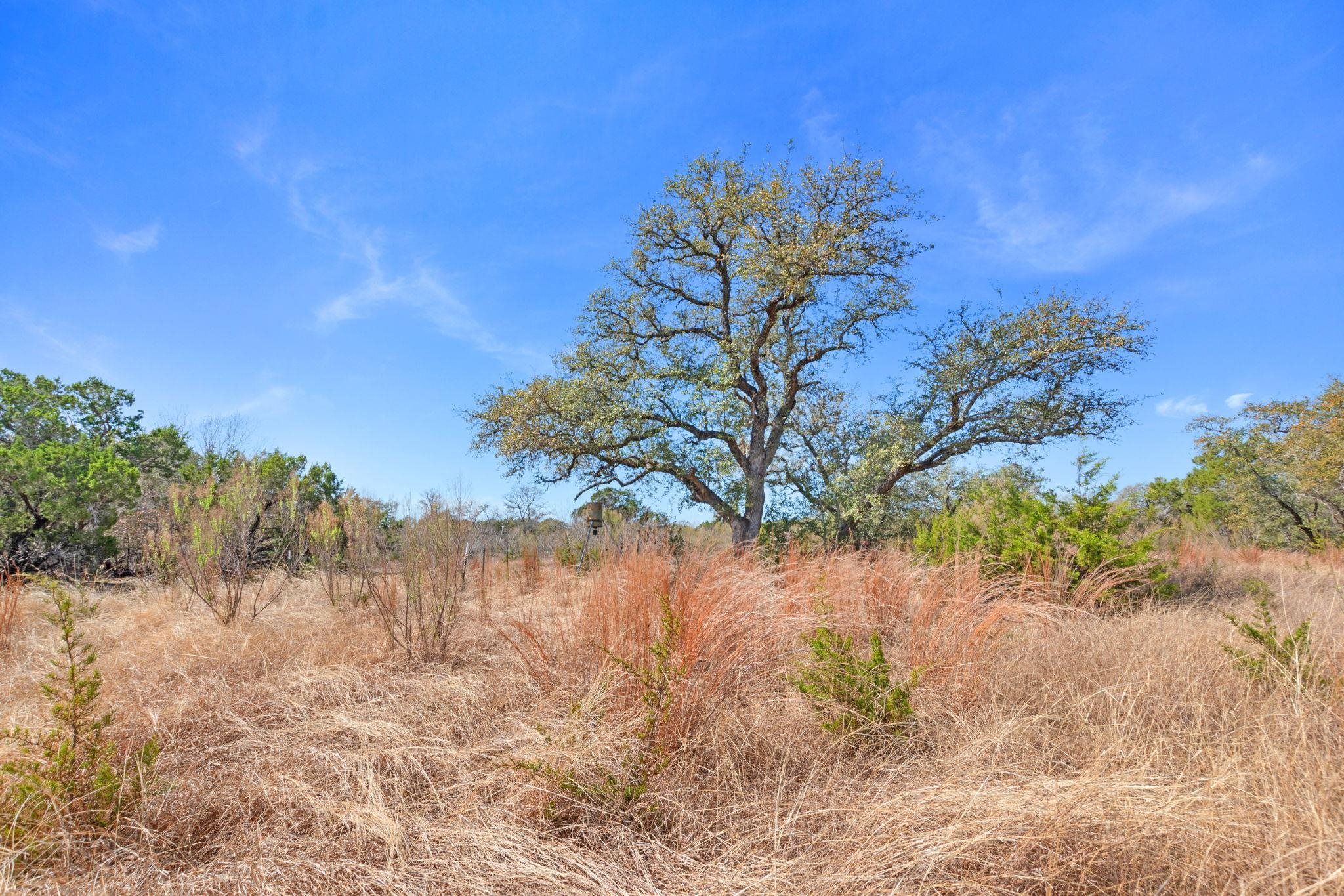 Tbd Carpenter Court Burnet TX 78611