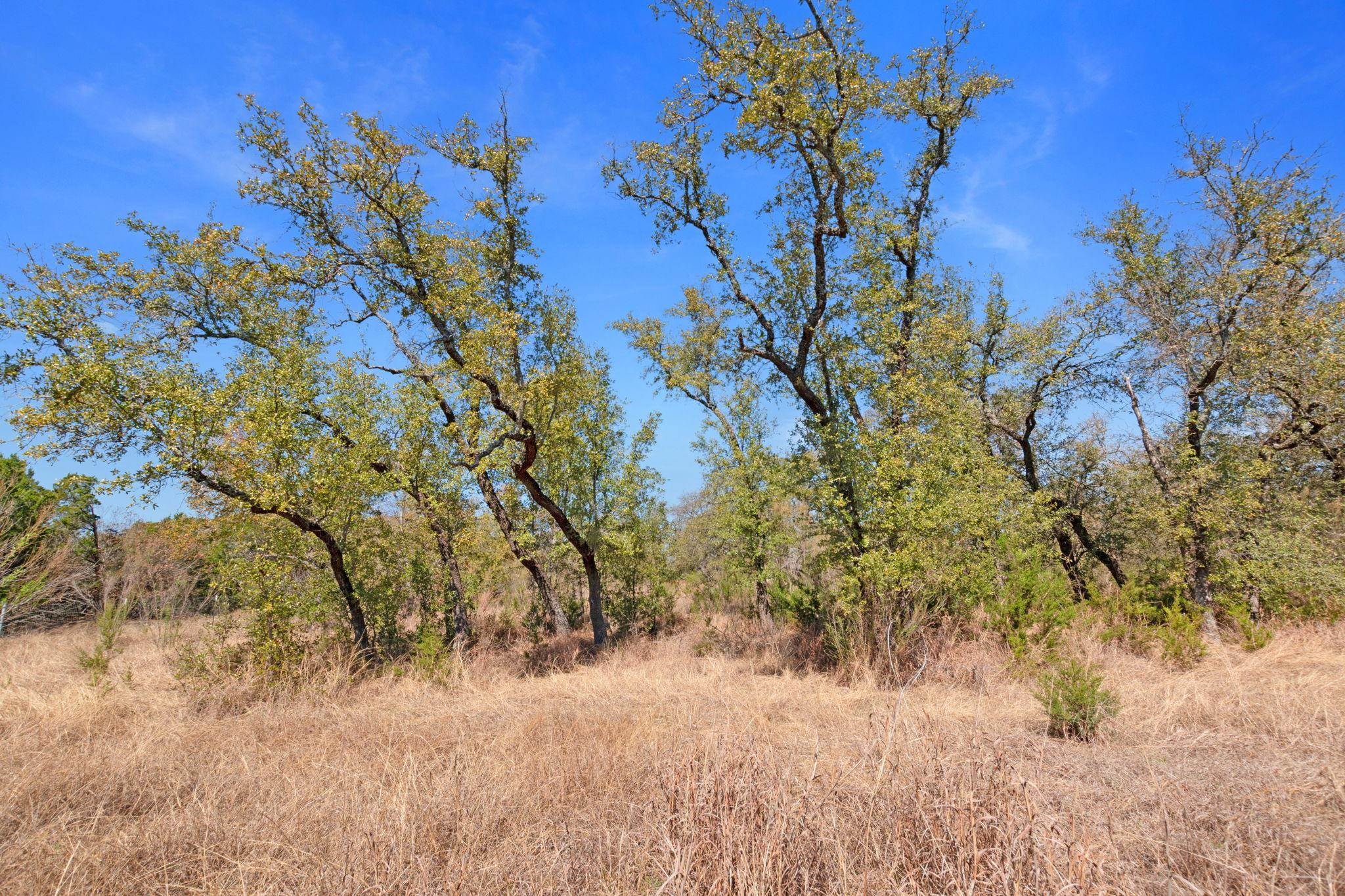 Tbd Carpenter Court Burnet TX 78611