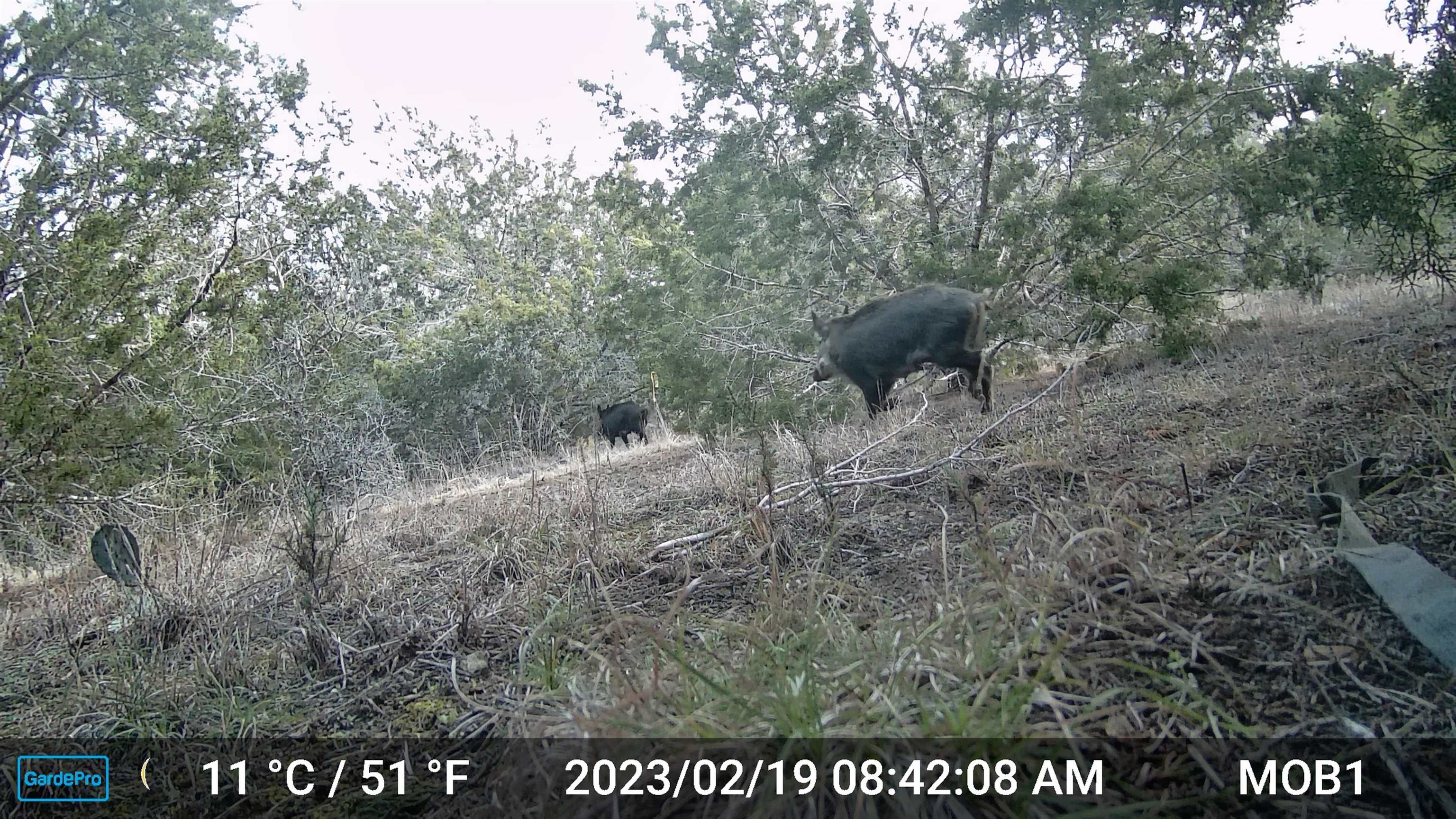 180 Robison Road Bertram TX 78605