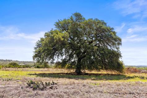 6590 Us 290 Dripping Springs TX 78620