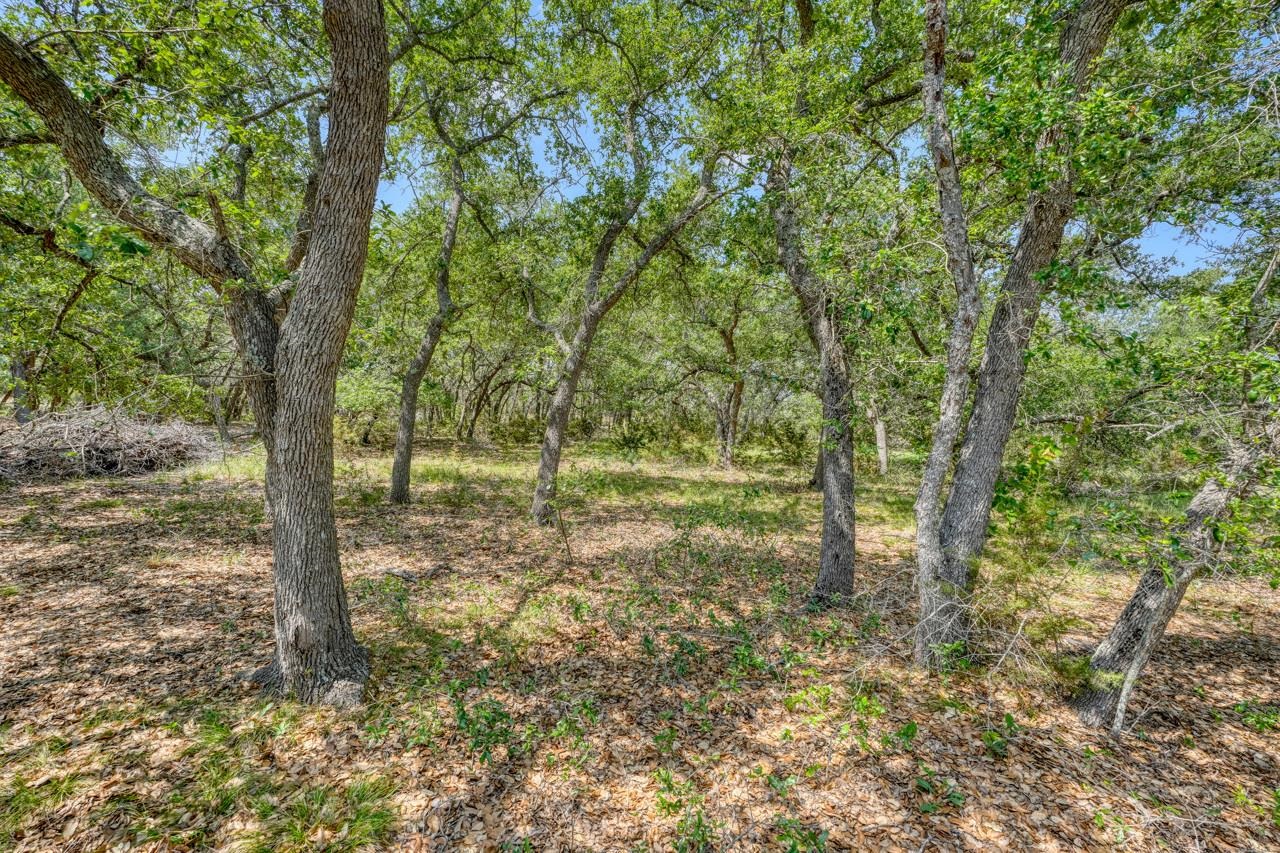 545 Cr 258 Bertram TX 78605