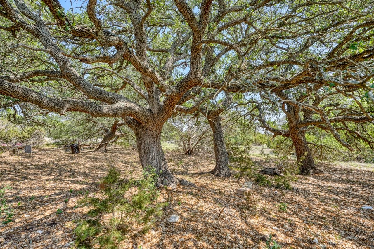 545 Cr 258 Bertram TX 78605