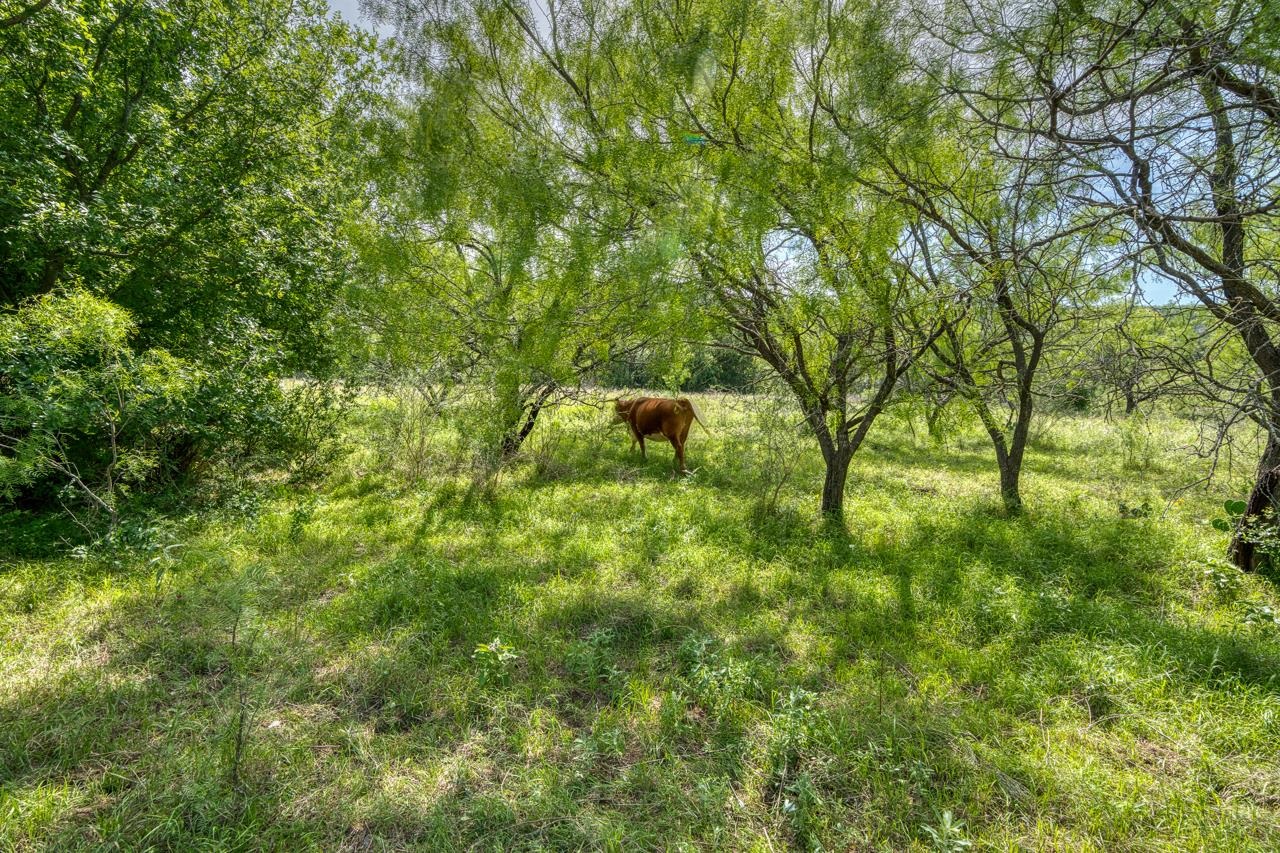 12987 S Highway 16 Llano TX 78643