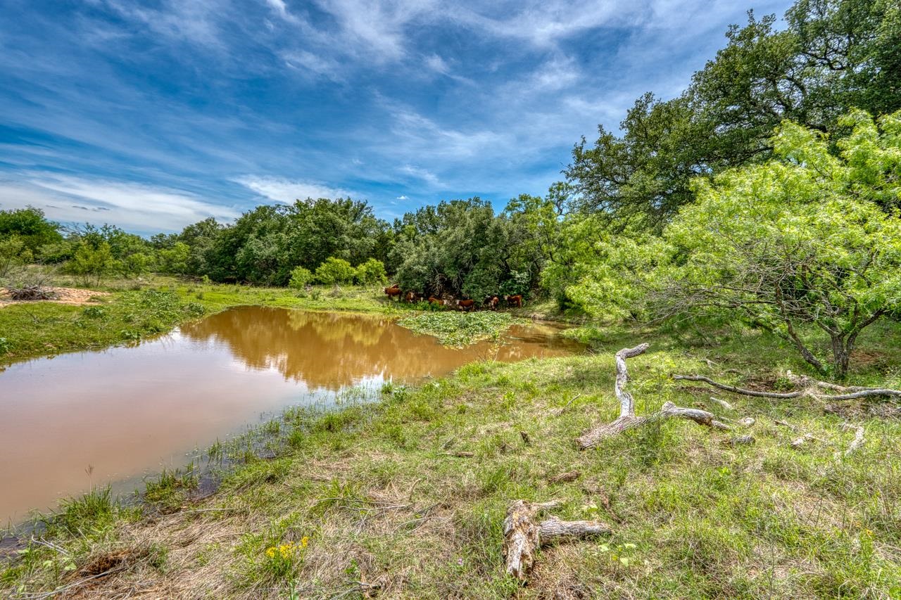 12987 S Highway 16 Llano TX 78643
