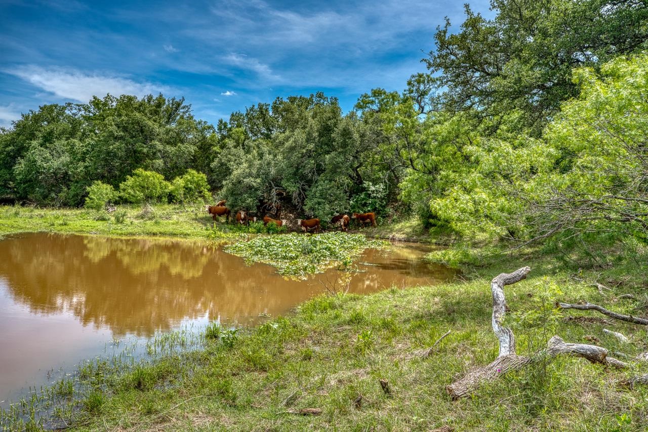 12987 S Highway 16 Llano TX 78643