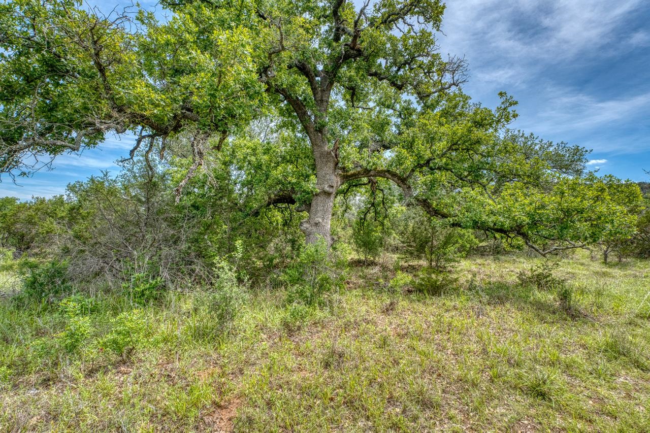 12987 S Highway 16 Llano TX 78643