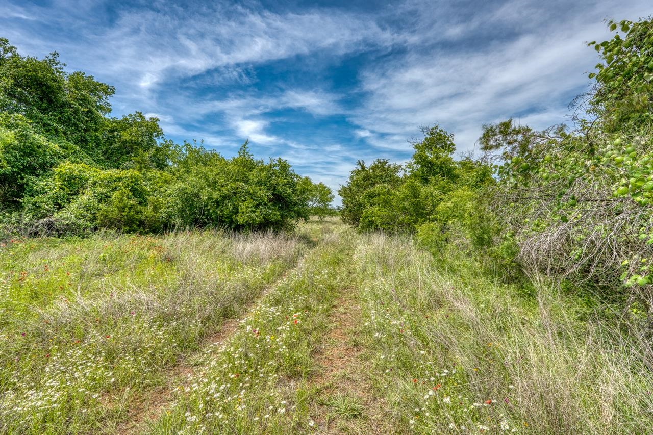 12987 S Highway 16 Llano TX 78643