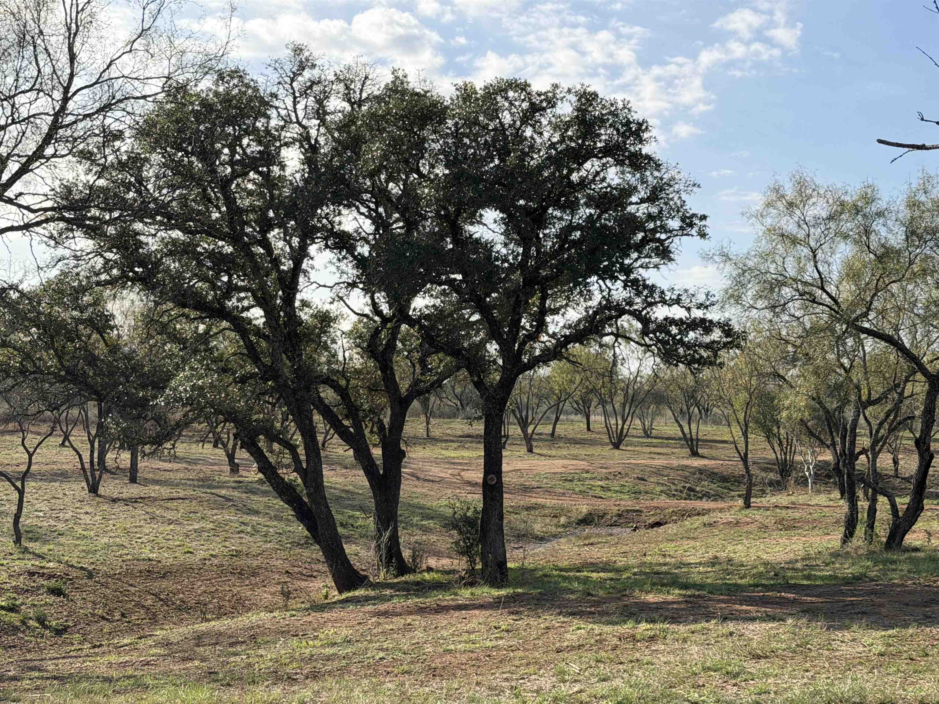 102 County Road 314 Llano TX 78643