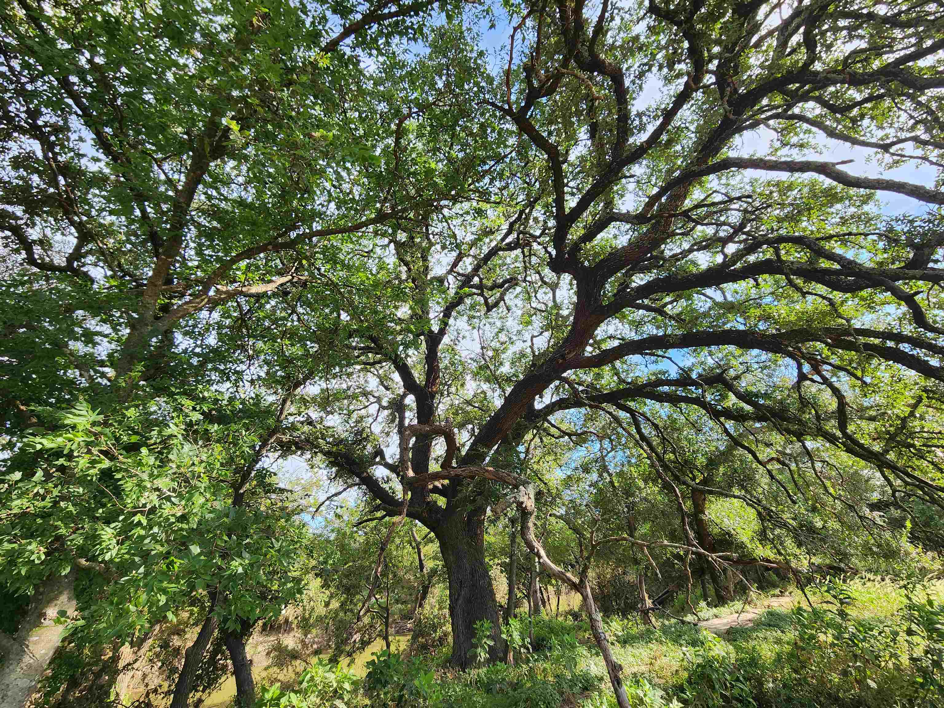 Tbd Fm 1480 San Saba TX 76877