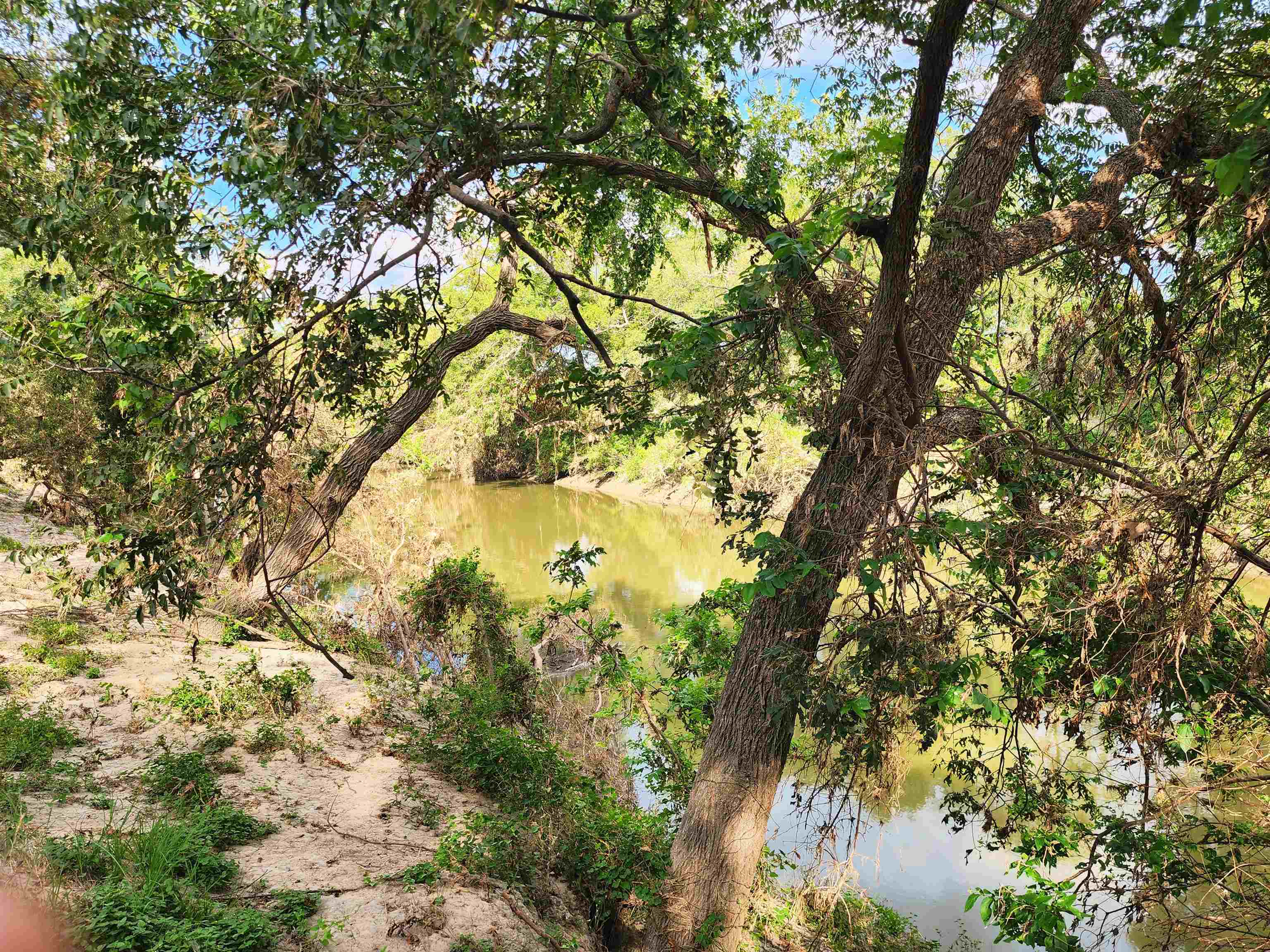 Tbd Fm 1480 San Saba TX 76877