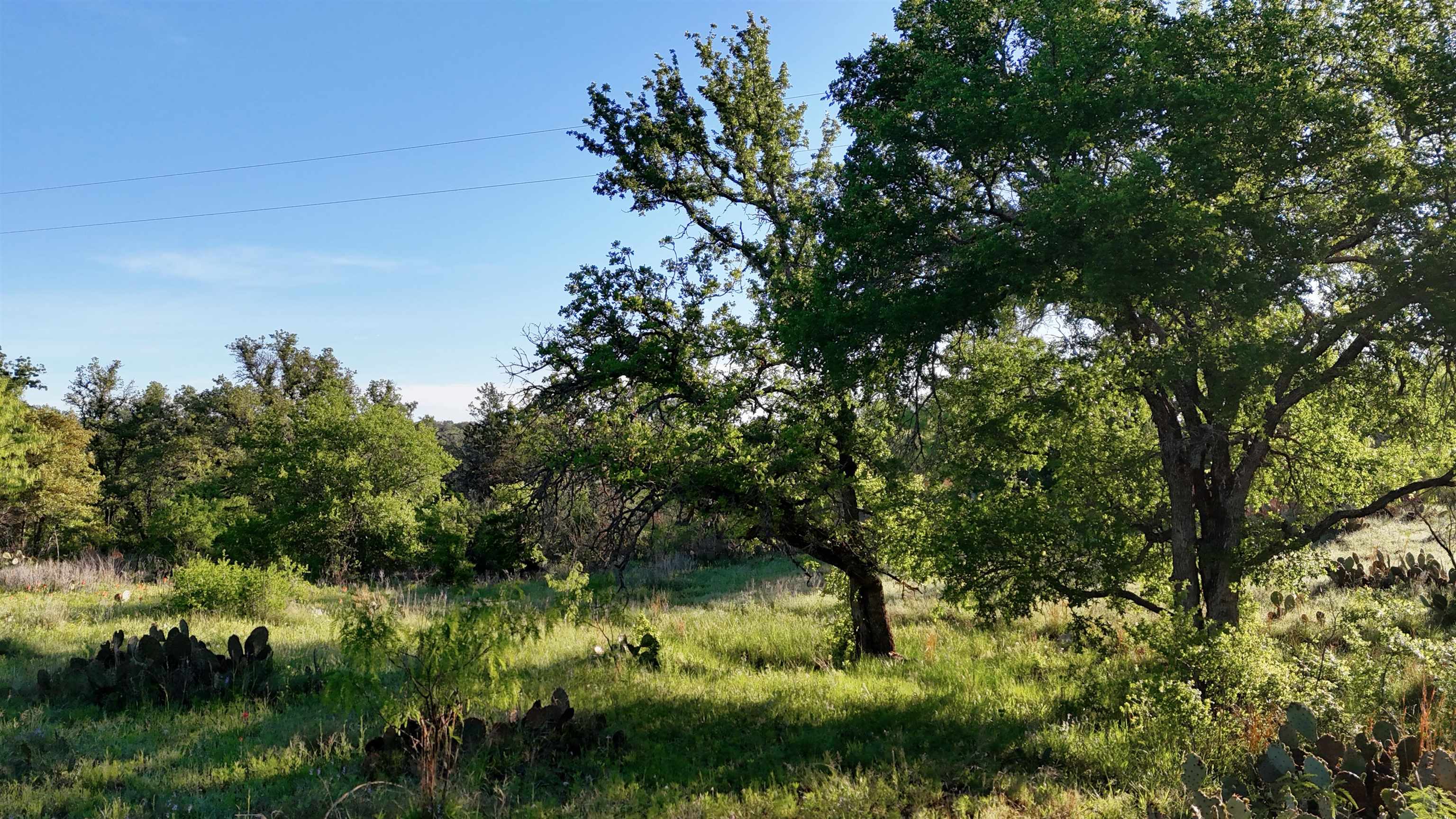 Tbd Madden Ranch Road Valley Spring TX 76855