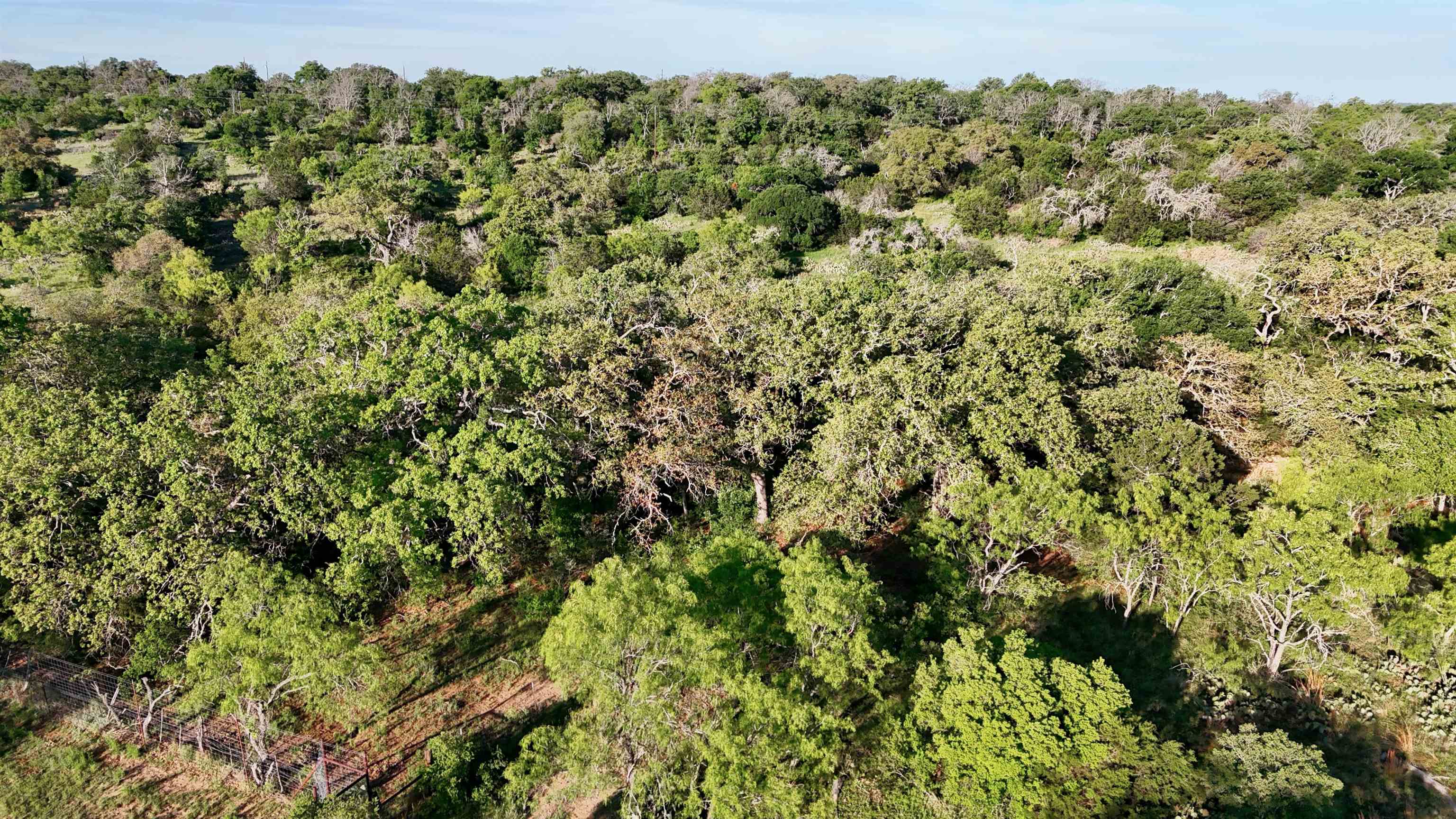 Tbd Madden Ranch Road Valley Spring TX 76855