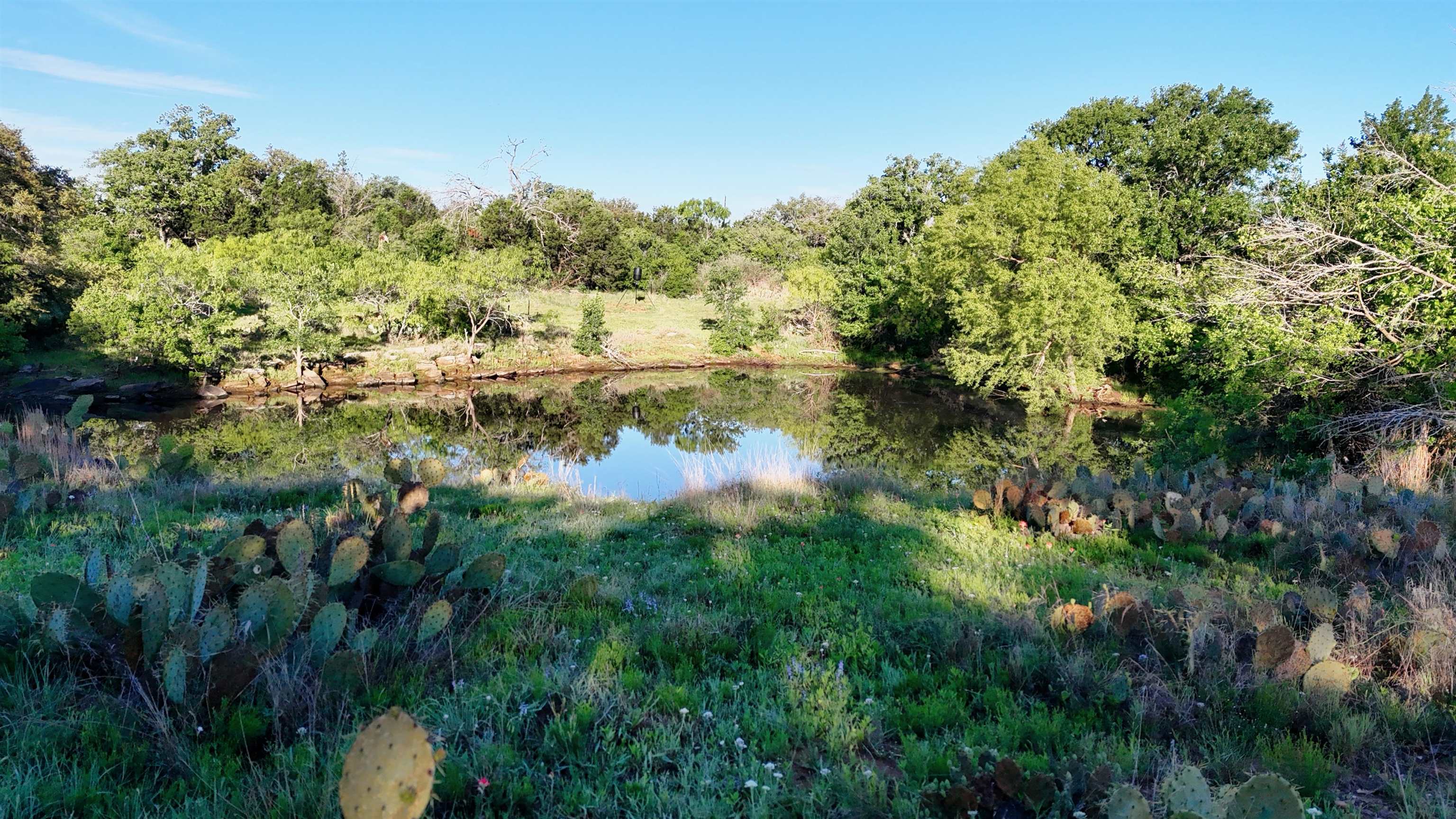 Tbd Madden Ranch Road Valley Spring TX 76855