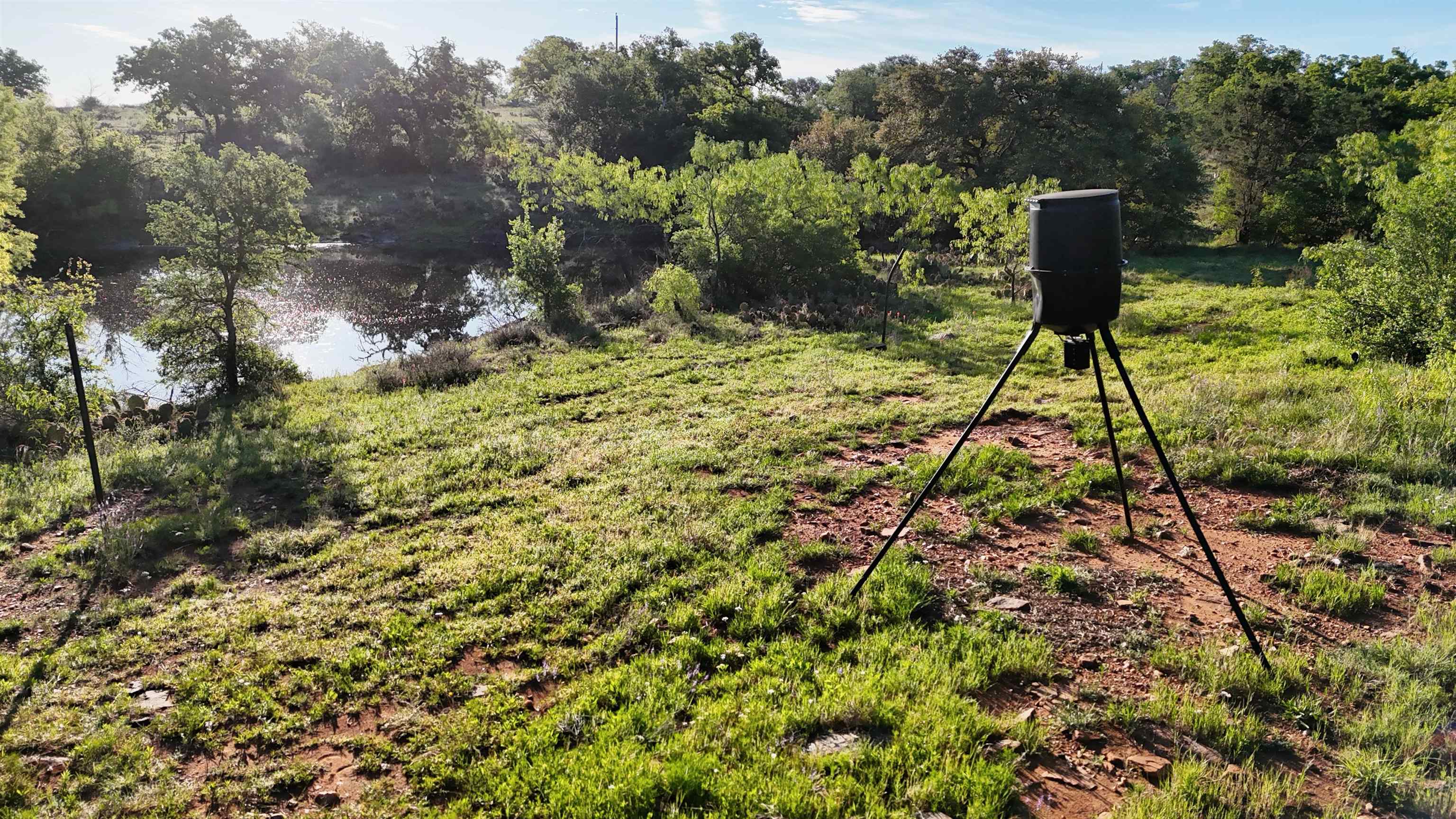 Tbd Madden Ranch Road Valley Spring TX 76855