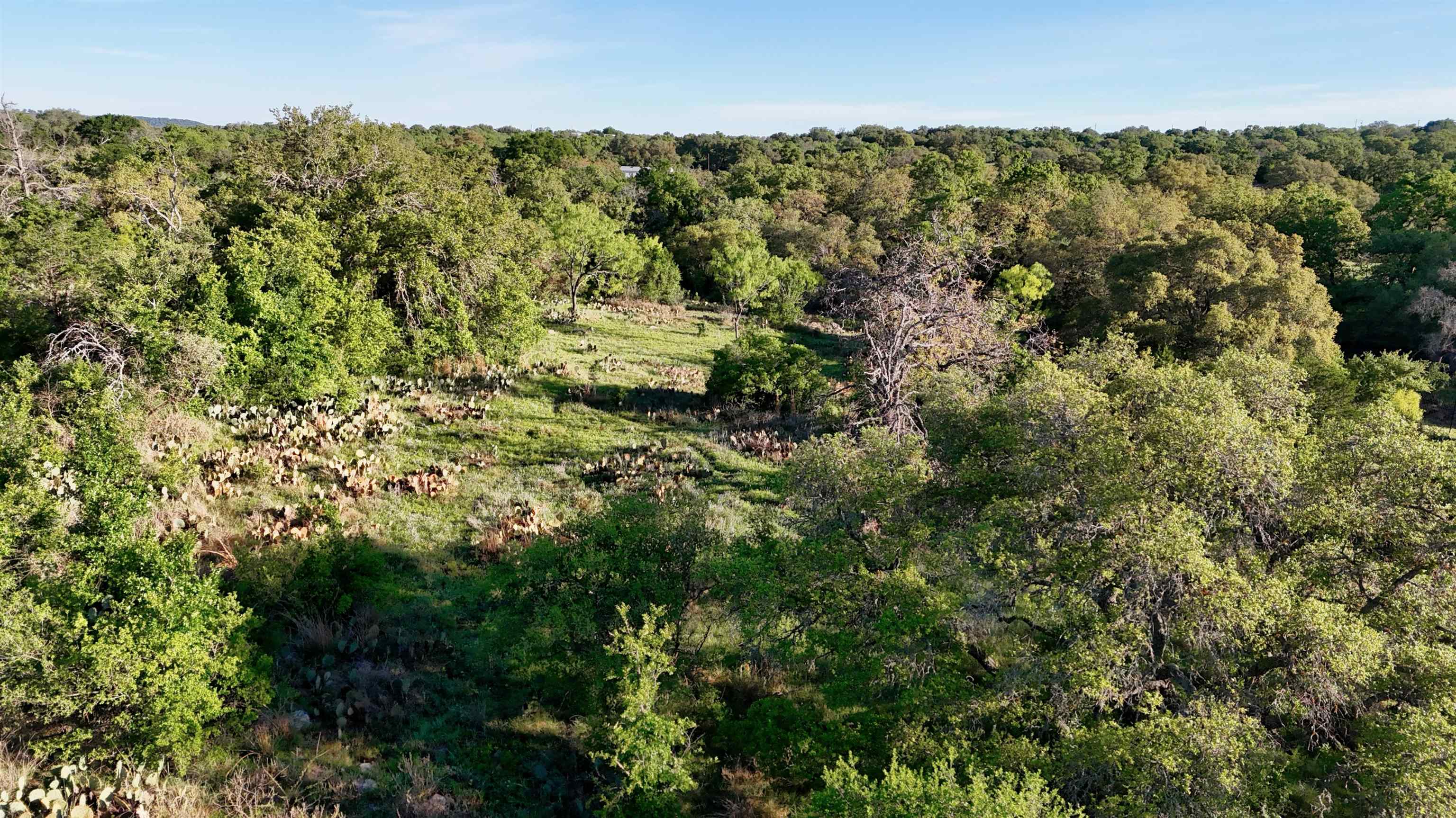 Tbd Madden Ranch Road Valley Spring TX 76855