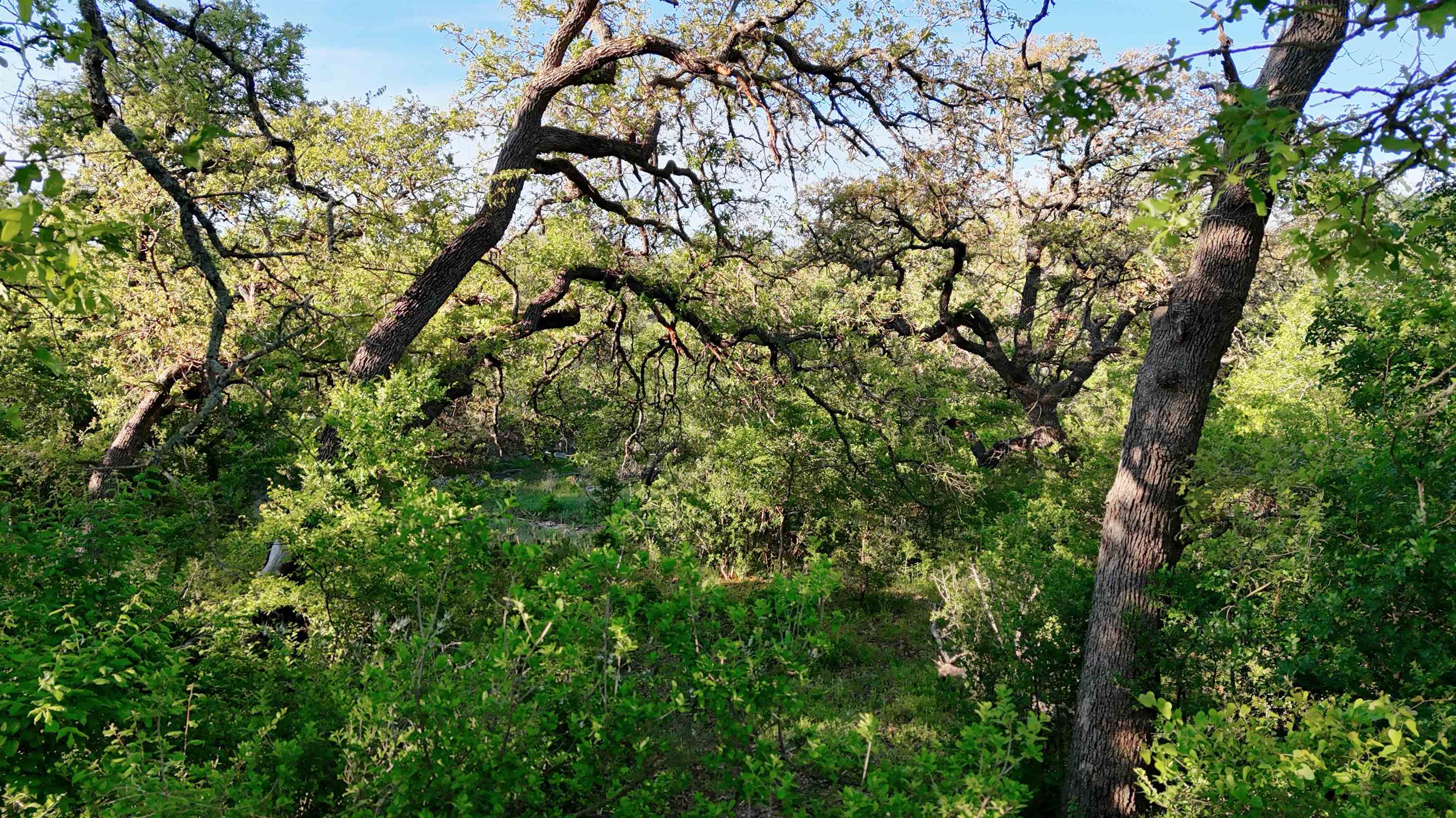 Tbd Madden Ranch Road Valley Spring TX 76855