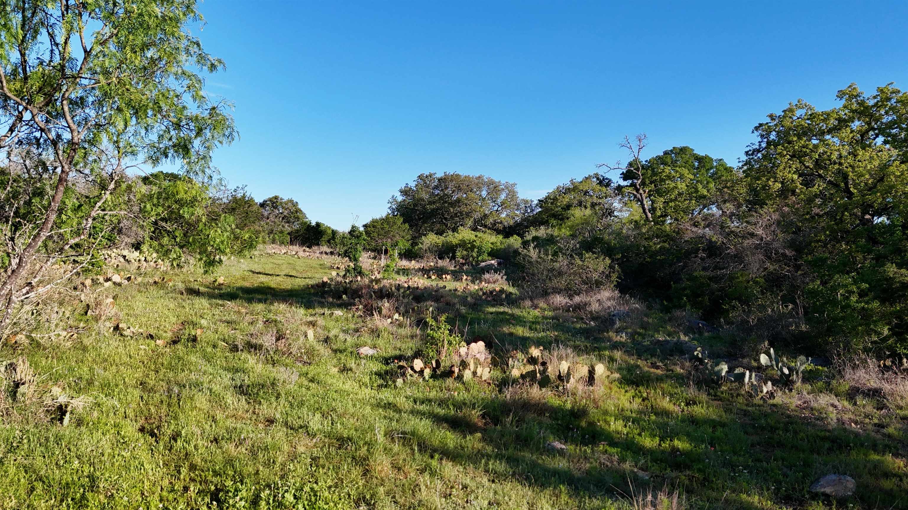 Tbd Madden Ranch Road Valley Spring TX 76855