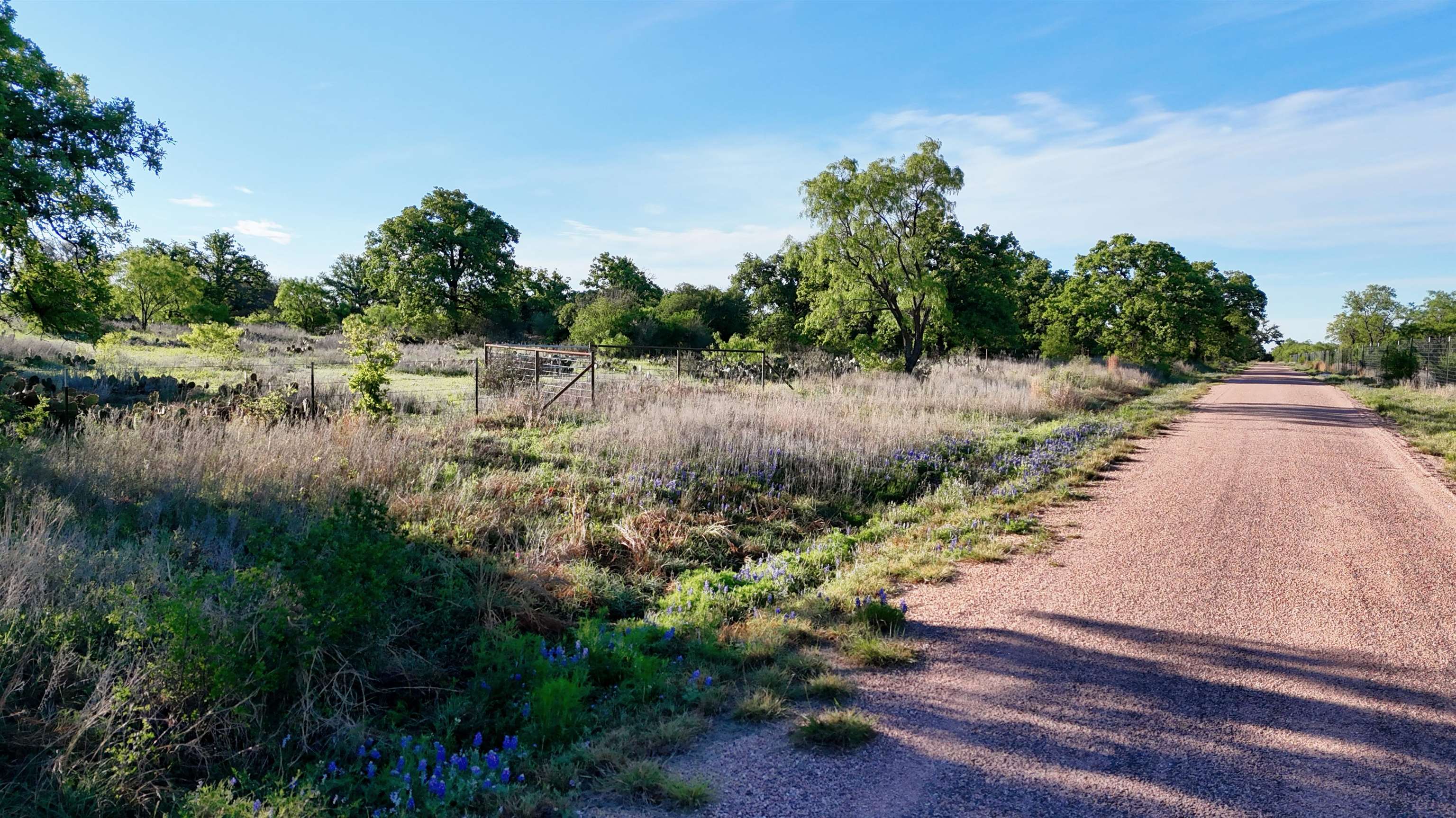 Tbd Madden Ranch Road Valley Spring TX 76855