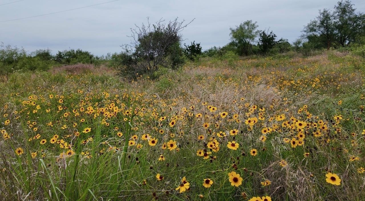 2315 Cr 472 Rochelle TX 76872