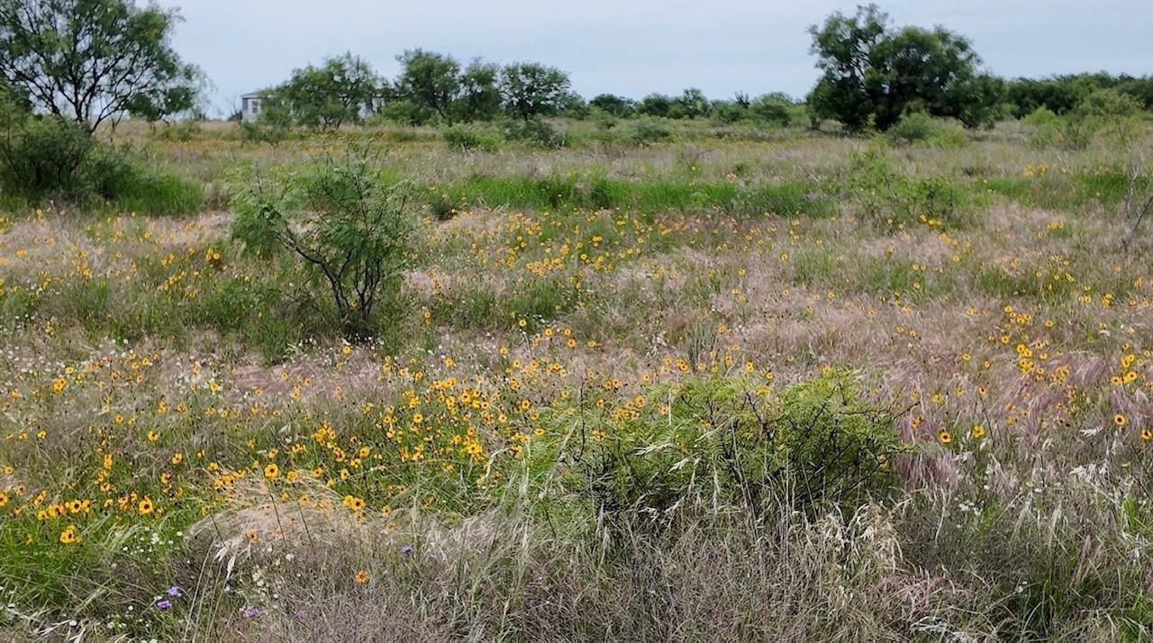 2315 Cr 472 Rochelle TX 76872