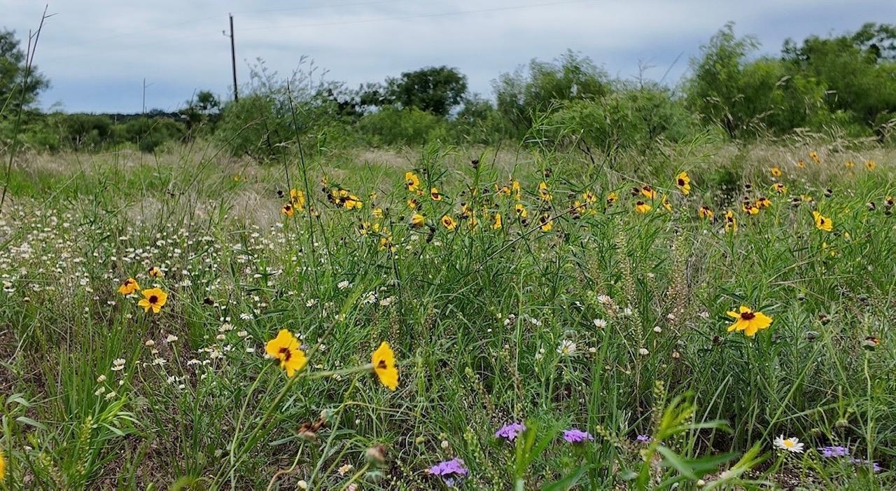 2315 Cr 472 Rochelle TX 76872