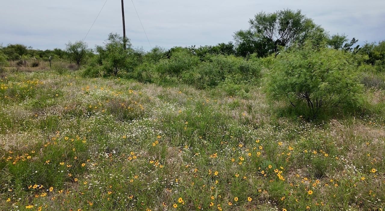 2315 Cr 472 Rochelle TX 76872