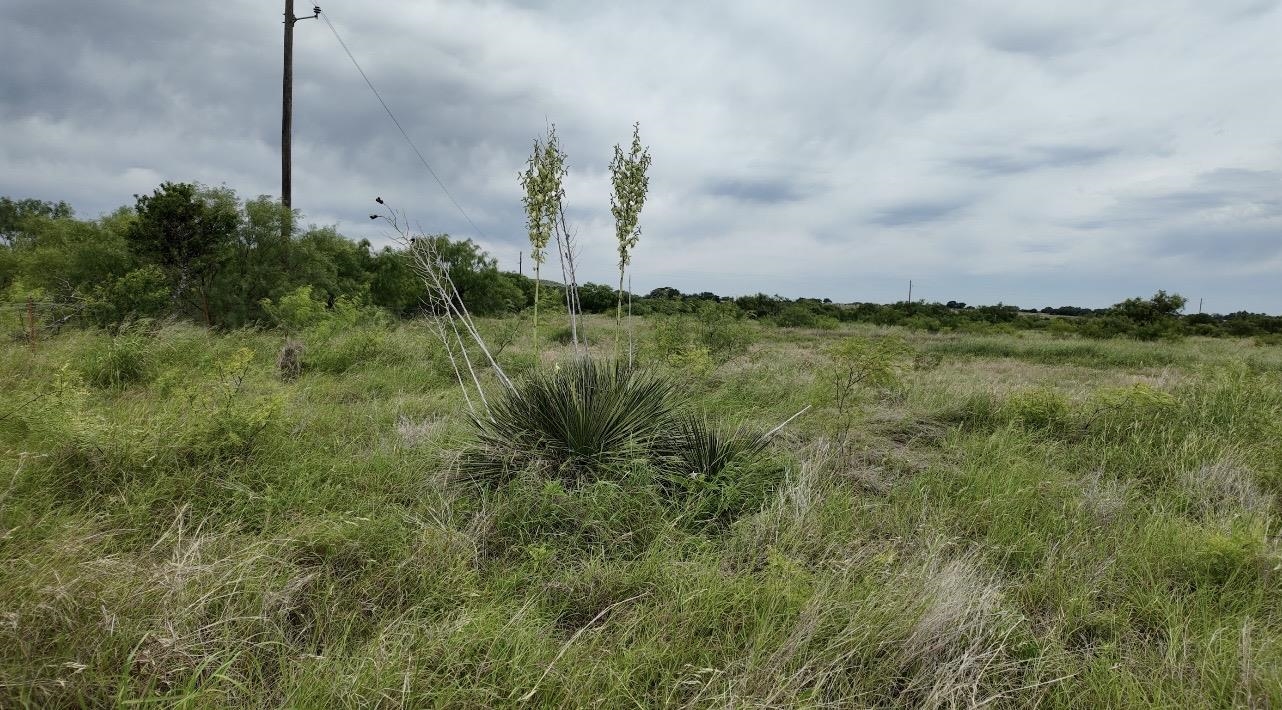 2315 Cr 472 Rochelle TX 76872