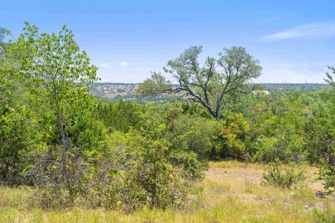 Tract 1 Skyline Drive Blanco TX 78606