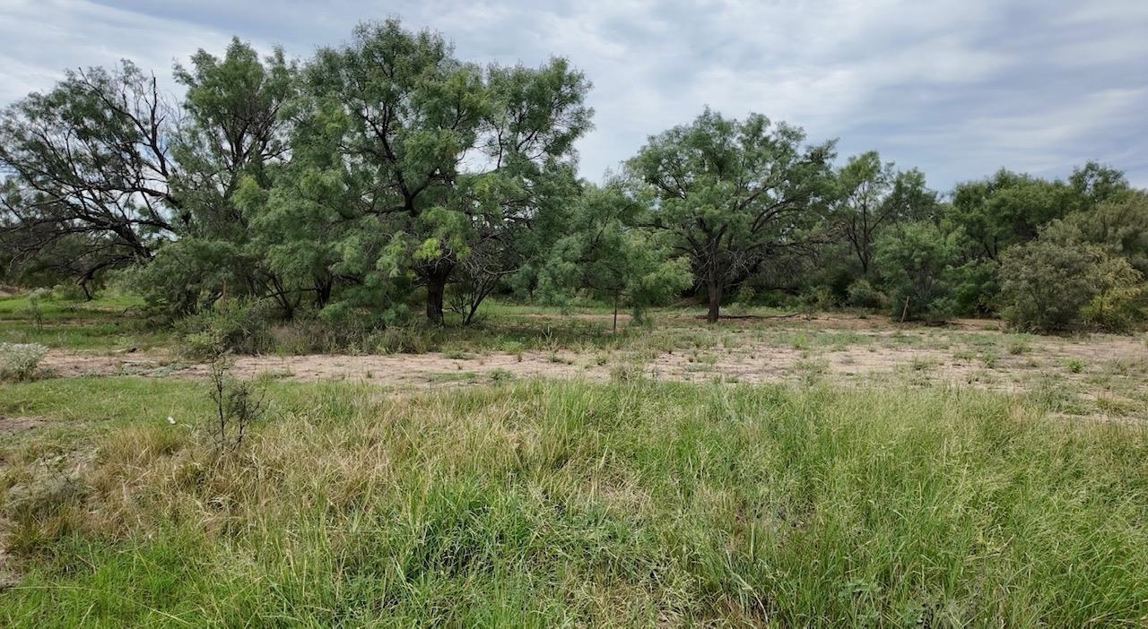 1299 Fm 502 Rochelle TX 76872