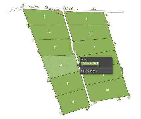 Tract 4 County 204 Road Burnet TX 78611