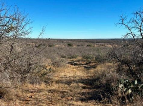 1722 W Farm To Market 574 Mullin TX 76864