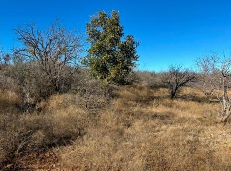 1722 W Farm To Market 574 Mullin TX 76864