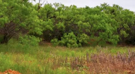 1722 W Farm To Market 574 Mullin TX 76864