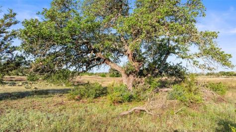 Lot 3 & 4 Vista Ridge Round Mountain TX 78663