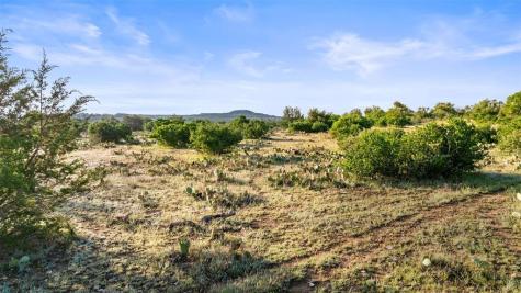 Lot 3 & 4 Vista Ridge Round Mountain TX 78663