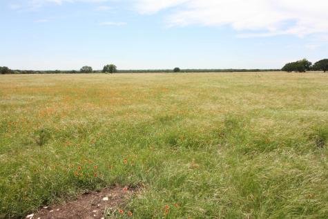 Tract 2 County 204 Road Burnet TX 78611