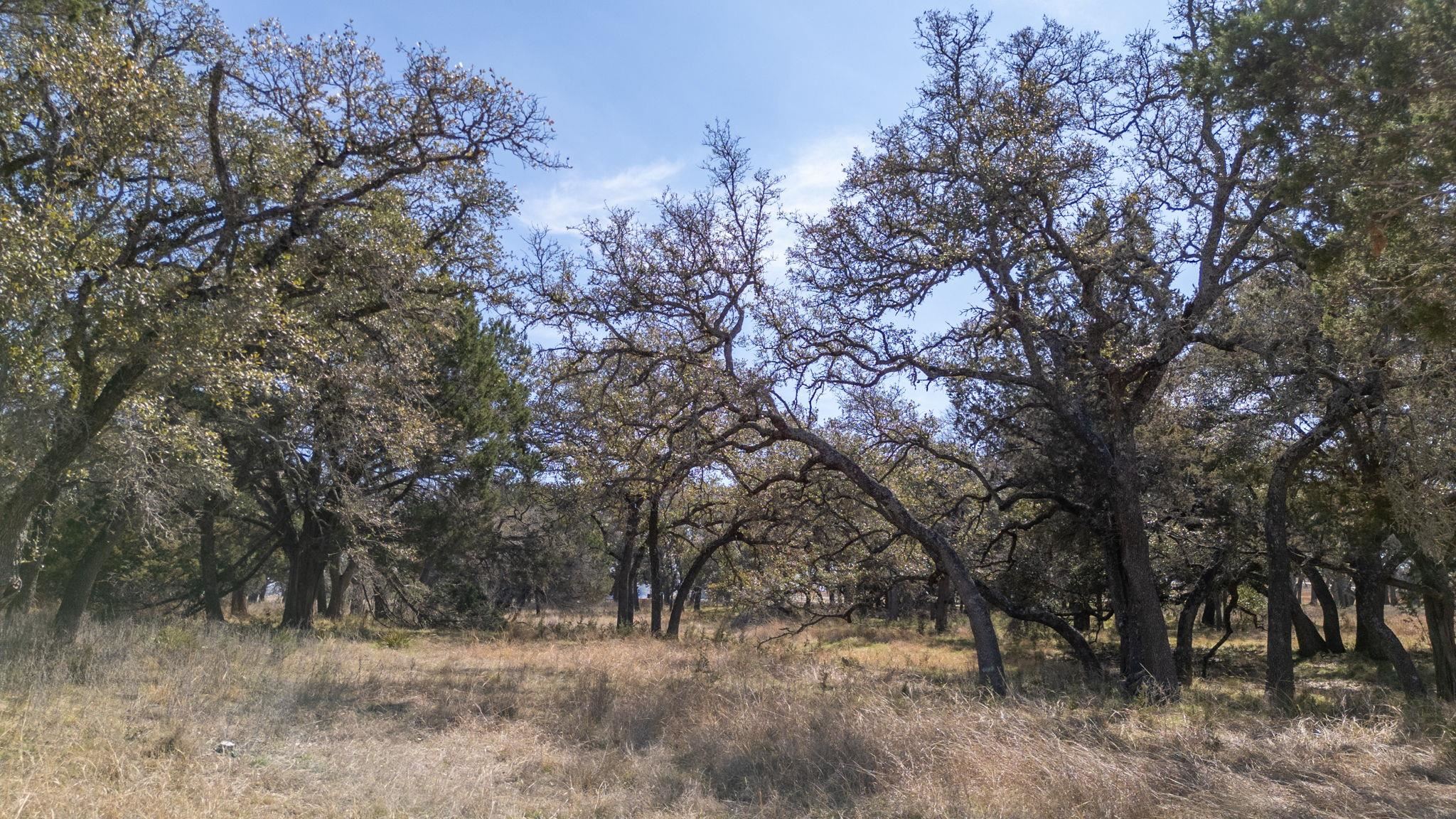 Tbd Blackbuck Ridge Drive Lot 181 Lampasas TX 76550