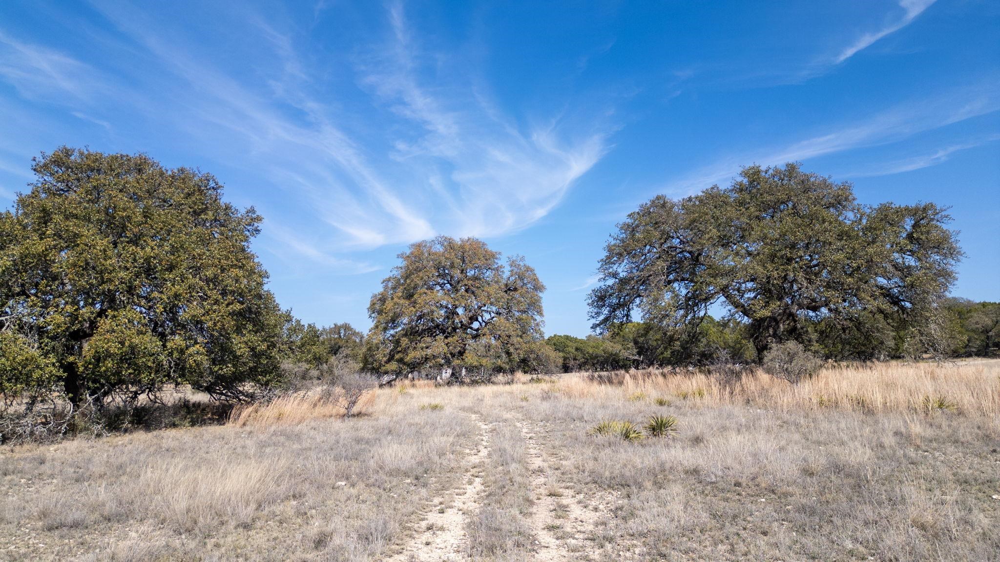 Tbd Blackbuck Ridge Drive Lot 181 Lampasas TX 76550