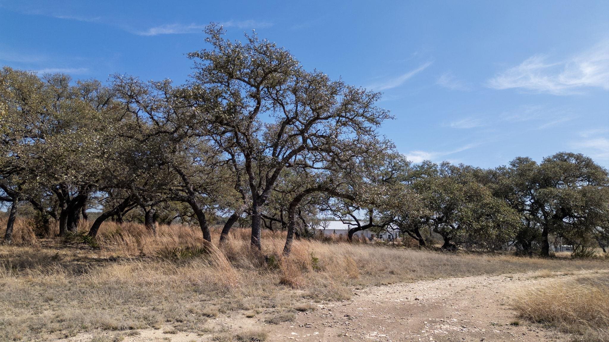 Tbd Blackbuck Ridge Drive Lot 181 Lampasas TX 76550