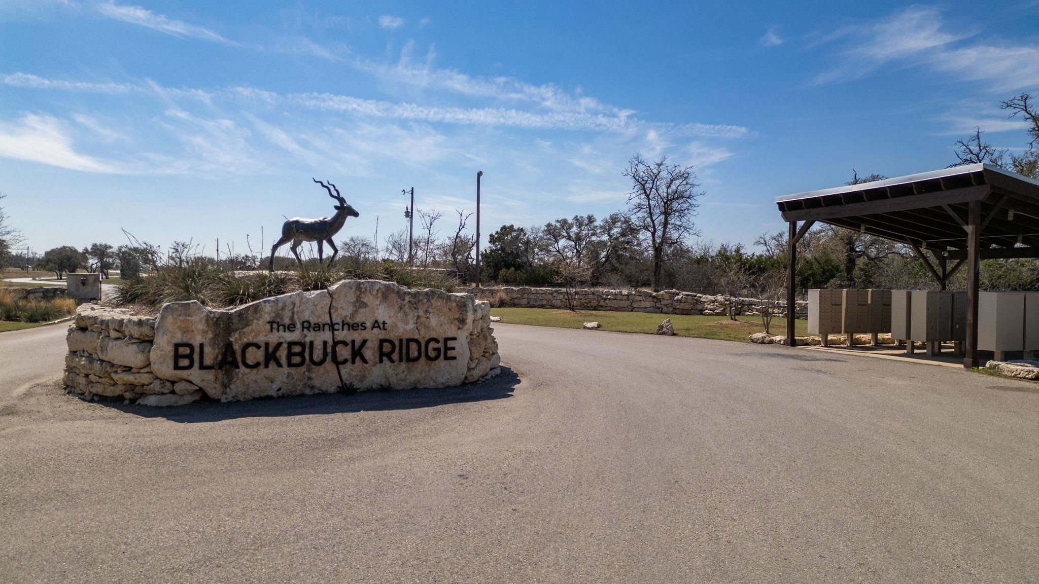 Tbd Blackbuck Ridge Drive Lot 181 Lampasas TX 76550