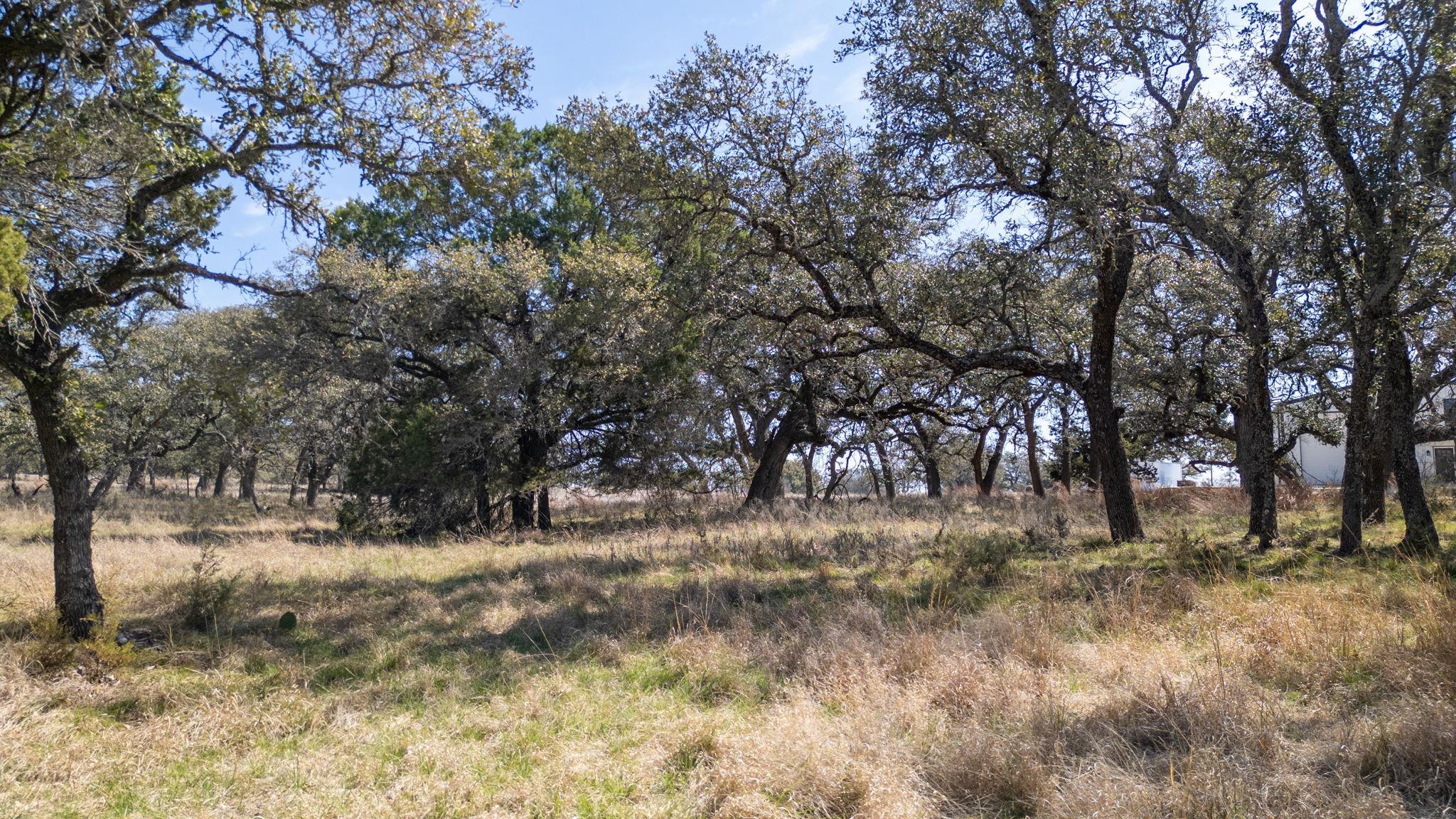 Tbd Blackbuck Ridge Drive Lot 181 Lampasas TX 76550