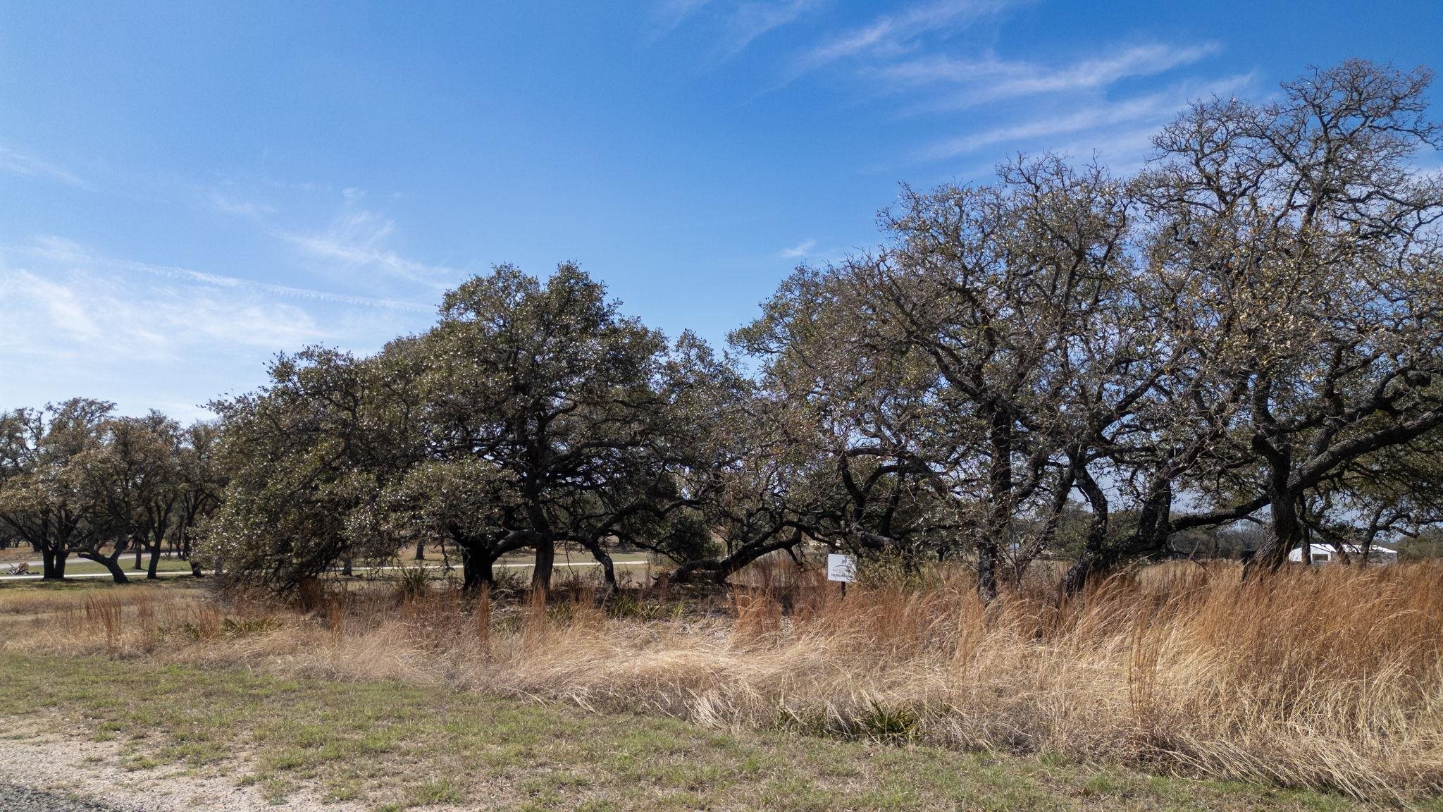 Tbd Blackbuck Ridge Drive Lot 181 Lampasas TX 76550