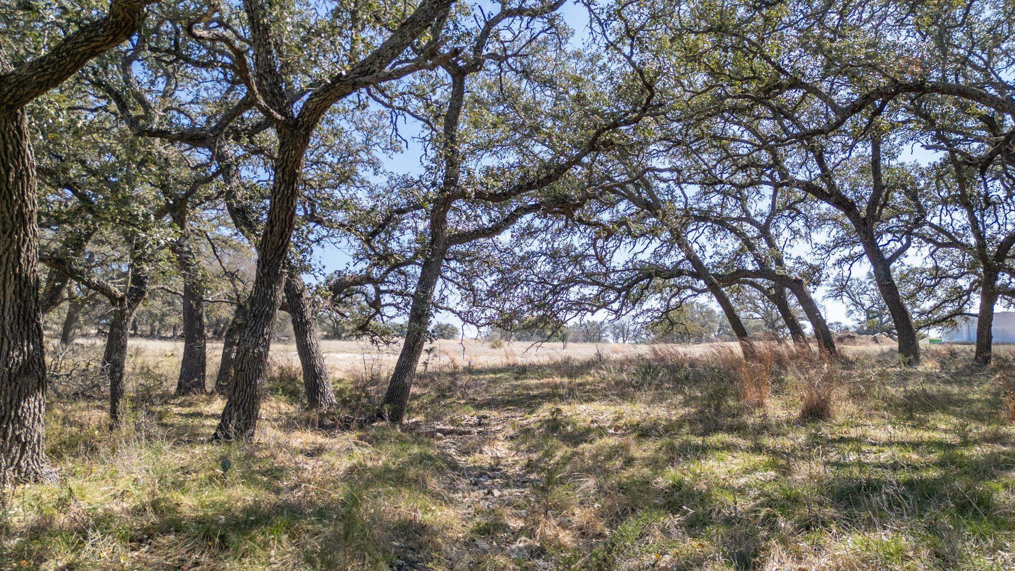 Tbd Blackbuck Ridge Drive Lot 181 Lampasas TX 76550