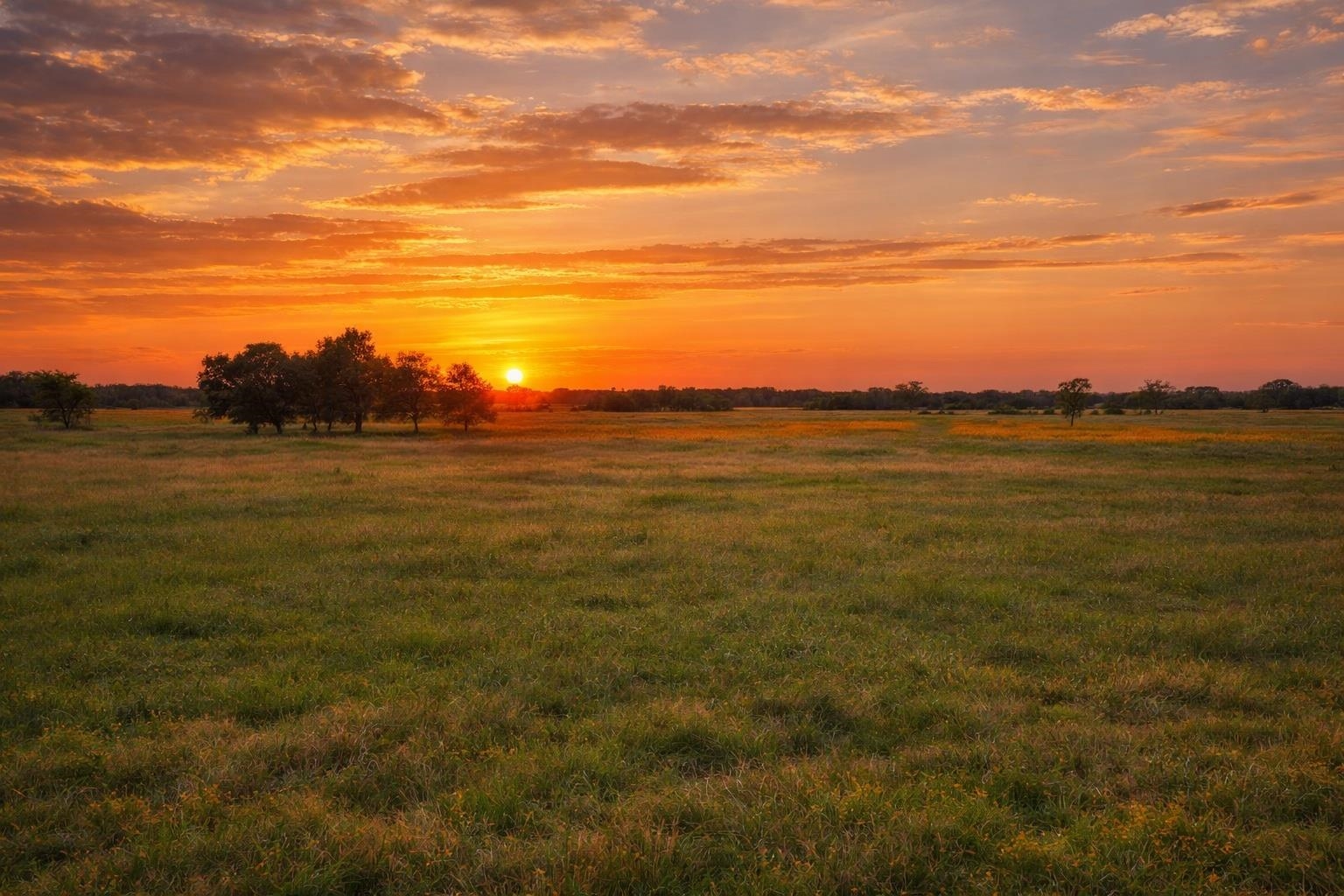 Tbd Cr 103 Lampasas TX 76550