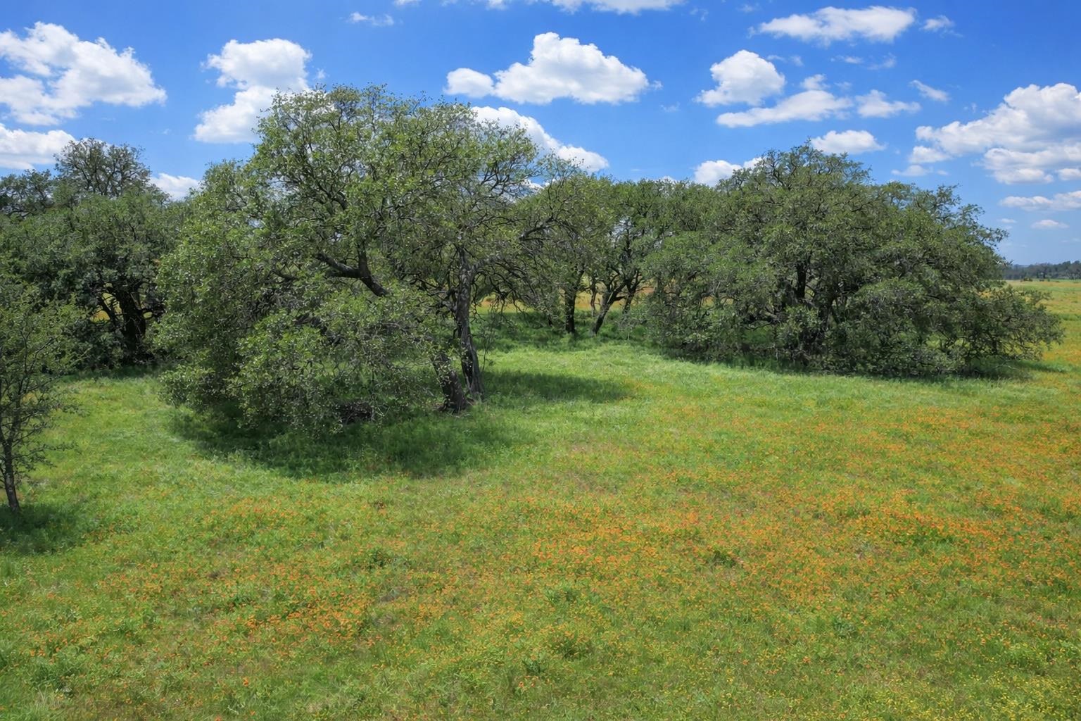 Tbd Cr 103 Lampasas TX 76550